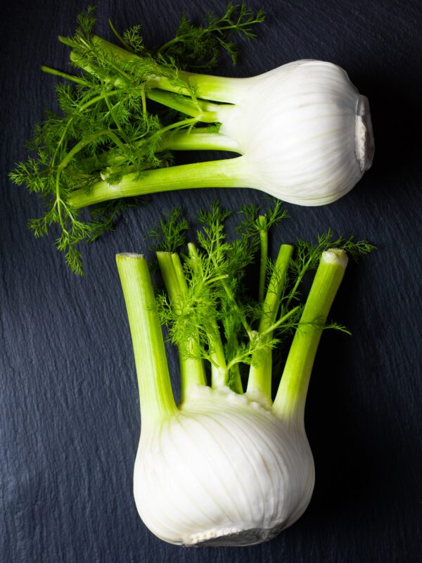 fennel bulb fino