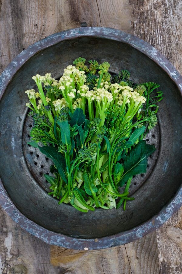 sprouting broccoli white eye