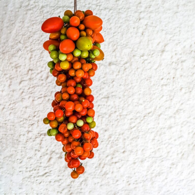 Tomato Hanging Prince 1 scaled 1