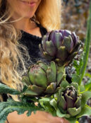 artichoke Italian purple