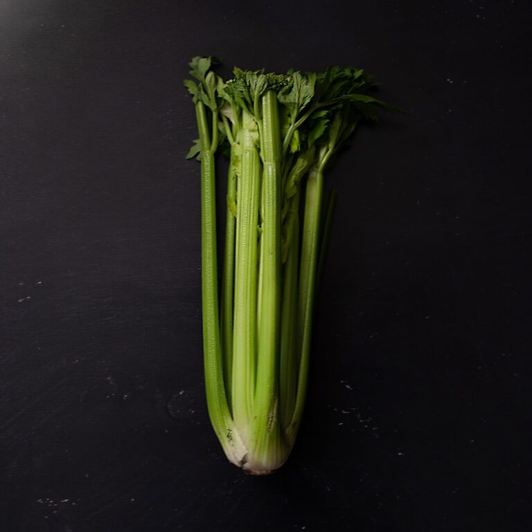 Celery Utah 3 scaled 1