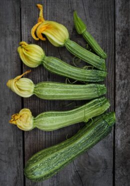 Courgette Striato 1 scaled 1