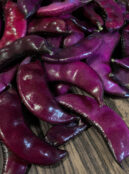 Hyacinth Bean Ruby Moon 1