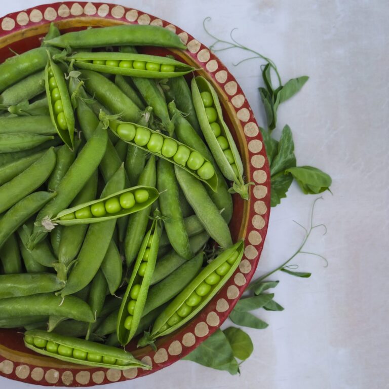 Pea Telephone 1 scaled 1