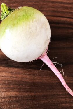 Radish Watermelon 3 scaled 1