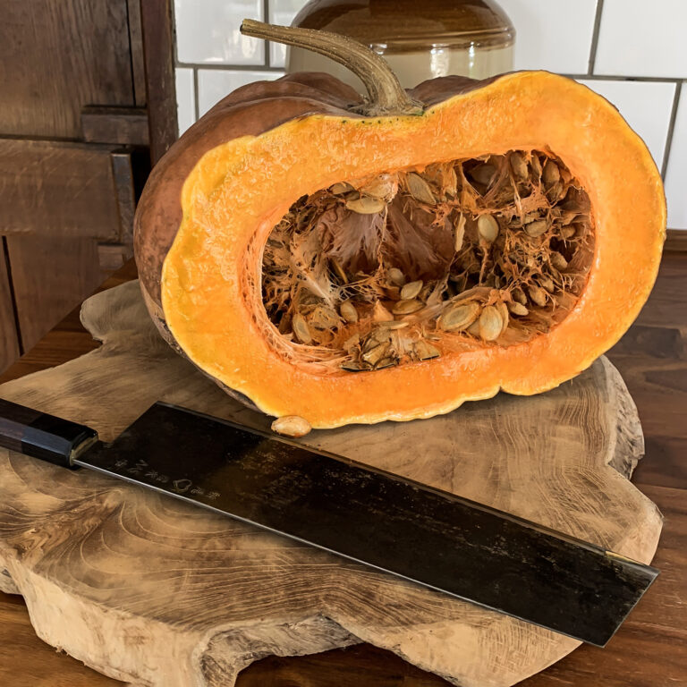 Pumpkin Musquee Du Provence 2