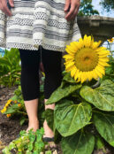 Sunflower Sunspot Dwarf 2 1