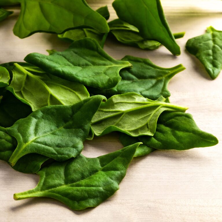 Spinach New Zealand 1 scaled 2