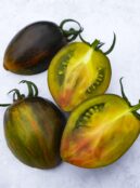 Tomato Atomic Fusion 3 scaled 1
