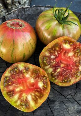 Tomato Green Copia 1 scaled 1