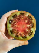 Tomato Green Copia 2
