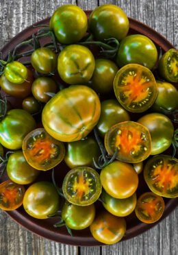 Tomato Evil Olive 1