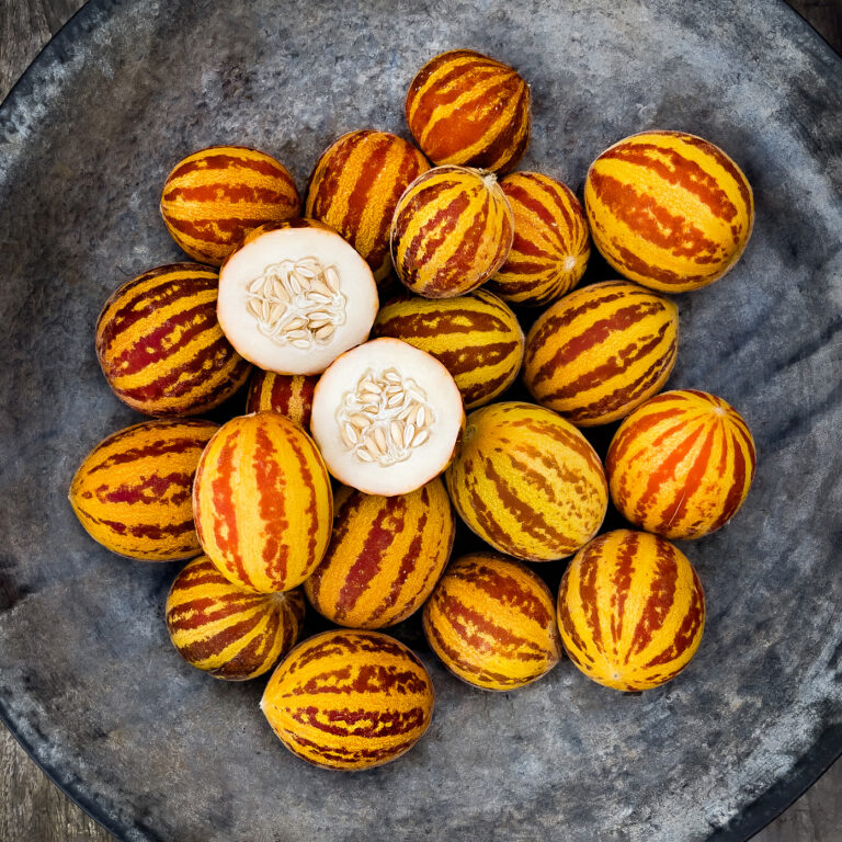 melon rich sweetness