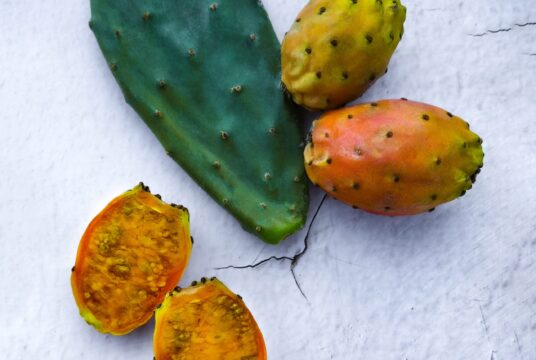 Prickly Pear 1 scaled 1