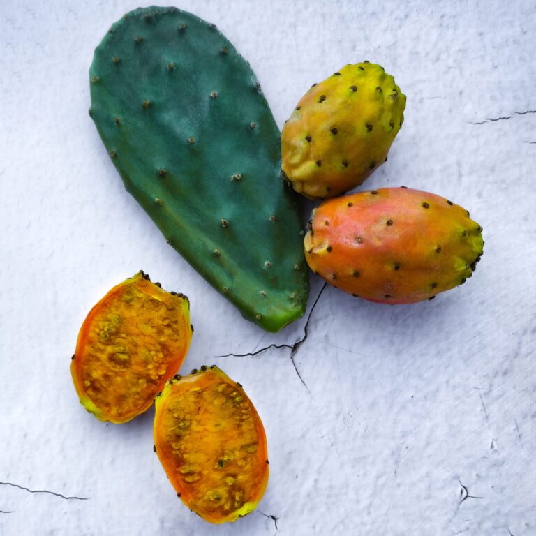 Prickly Pear 1 scaled 1
