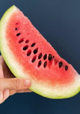 Watermelon Sugar Baby 1 scaled 1