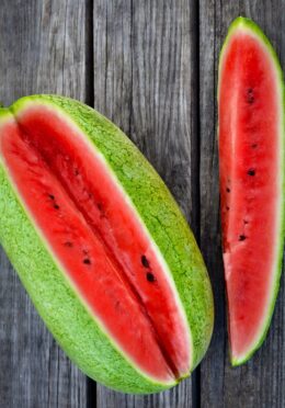 Watermelon Charlston Grey 1 scaled 1