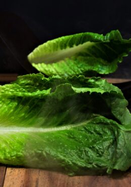 Lettuce Arcade 1 scaled 1