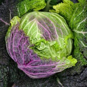 Cabbage Purple Rain 2 1 scaled 1