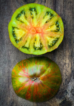 Tomato Berkley Tie Dye cover square