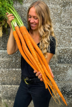 CArrots Manjapuki LAH 2 copy Square