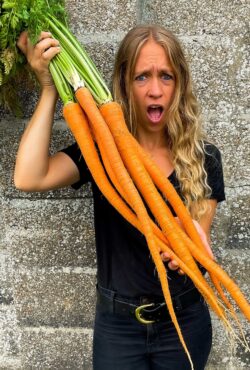 Carrots Manjapuki LAH 1 copy Square scaled 1