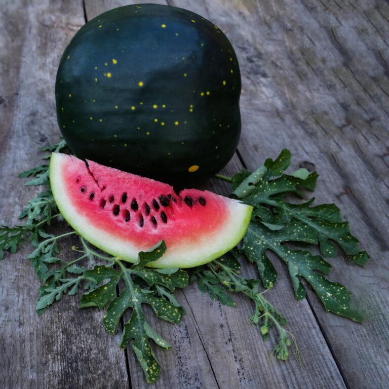 watermelon moon and stars