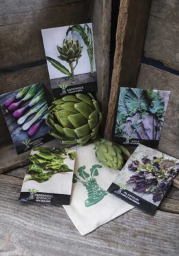 Gift Pack Perennial LAH 2024 web_DSF3035 scaled 1