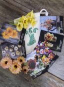Gift Pack Edible Flower LAH 2024 web_DSF3002 scaled 1