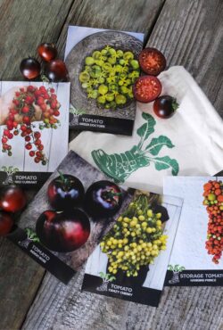 Gift Pack Tomato Lovers LAH 2024 web_DSF3064 scaled 1