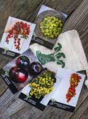 Gift Pack Tomato Lovers LAH 2024 web_DSF3063 scaled 1
