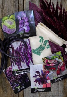 Gift Pack Purple Veg LAH 2024 web _DSF4446 scaled 1