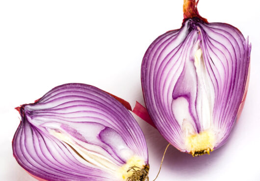 Onion Remata De Milano cover shutterstock_2018511431 scaled 1