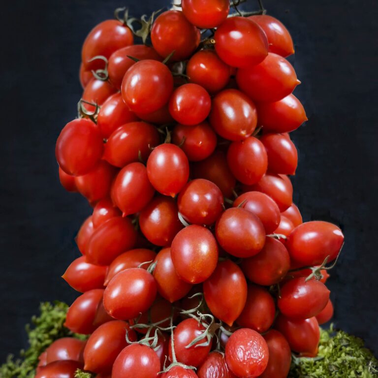 Storage Tomato Piennolo del Vesuvio LAH 2024 web _DSF3085 scaled