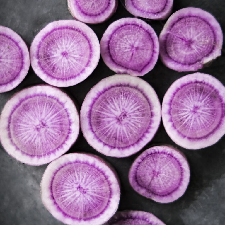 Radish Purple Pussy LAH 2024 web_DSF2846