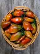 Tomato Cuban Black Pepper Like LAH 2024 web _DSF4169 scaled