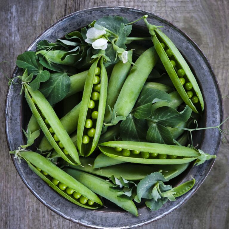 pea telephone