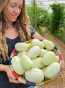 Cucumber Dragons Egg LAH just harvested copy