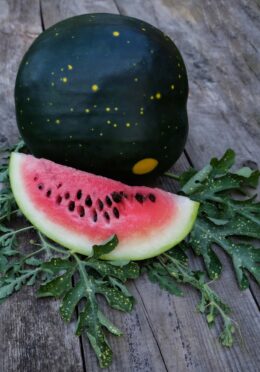 Watermelon Moon and Stars web _DSF2262 social scaled