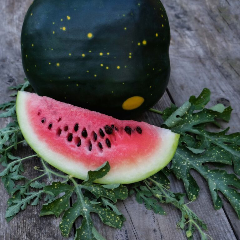 Watermelon Moon and Stars web _DSF2262 social scaled
