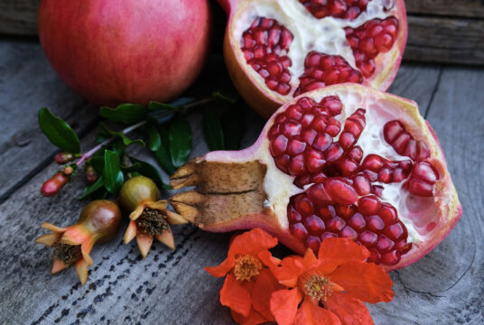 Cover Pomegranate _DSF2437 copy 1 scaled 1