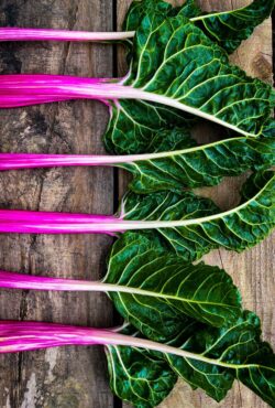 Cover Swiss Chard Peppermint web image00038 scaled