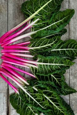 Swiss Chard Peppermint LAH 2024 web IMG_5234 scaled