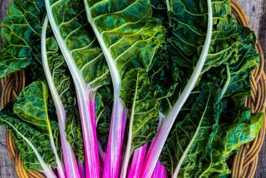 Swiss Chard