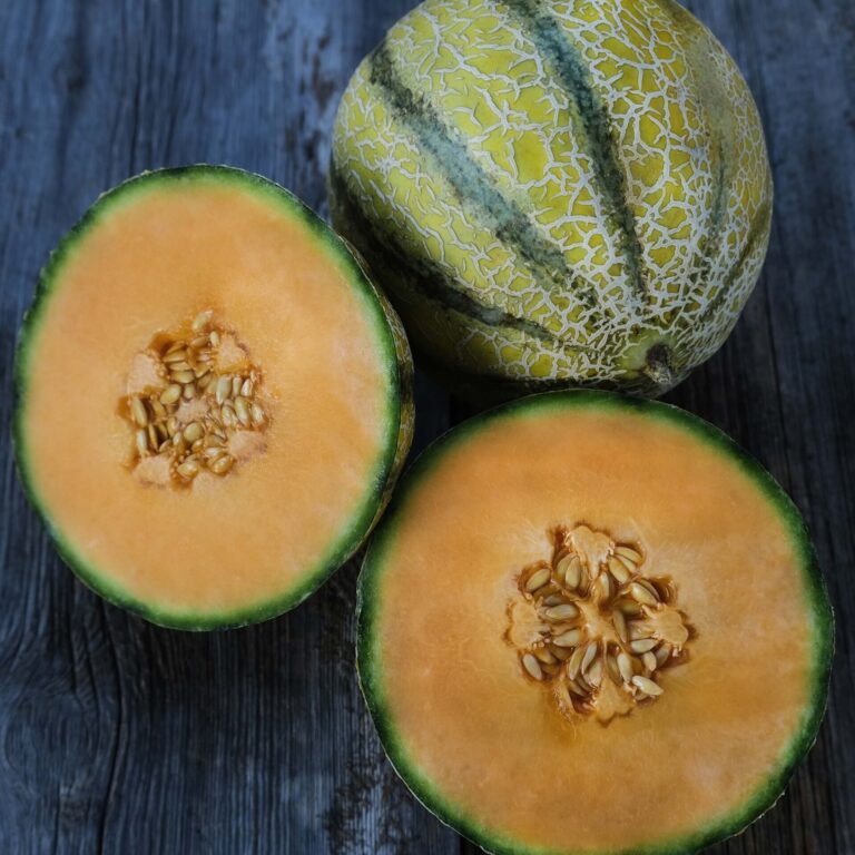 Cover Melon Ogen web _DSF2483 copy scaled