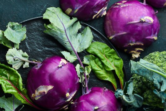 web shutterstock_1431712394 scaled