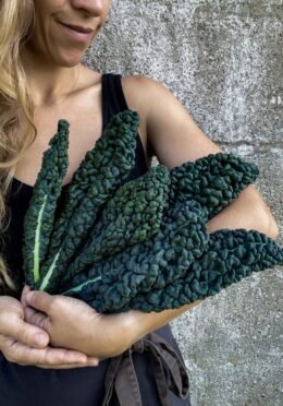 Cover Kale Prescoce Di Toscana web IMG_5382 scaled