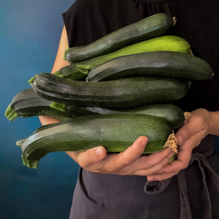 courgette milanese green