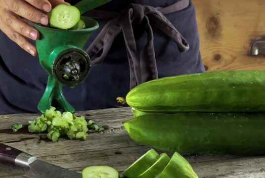 Cucumber Marketer Mezza Lungo web IMG_5167 copy scaled