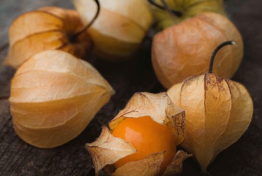 andrei j castanha D__k5feBHQ4 unsplash scaled